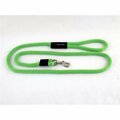 Soft Lines Dog Snap Leash 0.37 In. Diameter By 6 Ft. - Lime Green SO456404